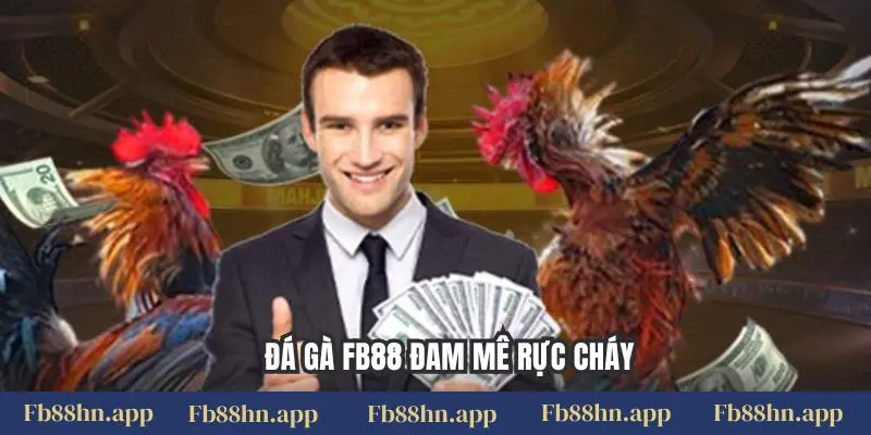 Đá gà FB88 đam mê rực cháy